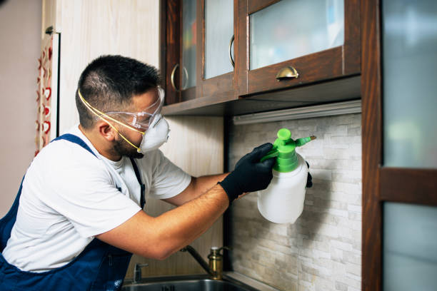 Best Emergency Pest Control  in Damascus, MD