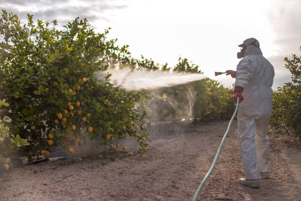 Best Pest Prevention Services  in Damascus, MD