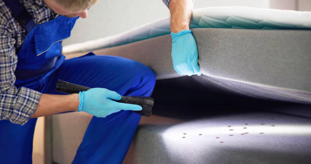Best Bed Bug Extermination  in Damascus, MD