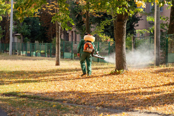 Best Affordable Pest Control Services  in Damascus, MD